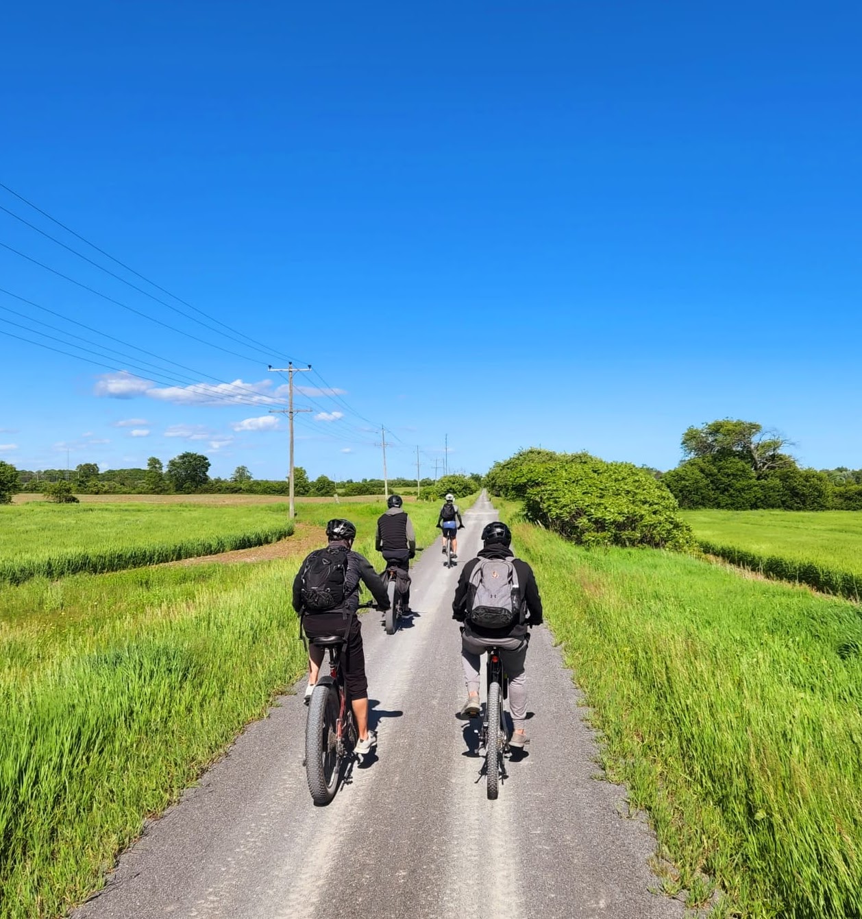 Bicker train through green fields